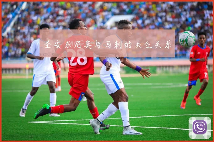 圣安东尼奥与马刺的共生关系