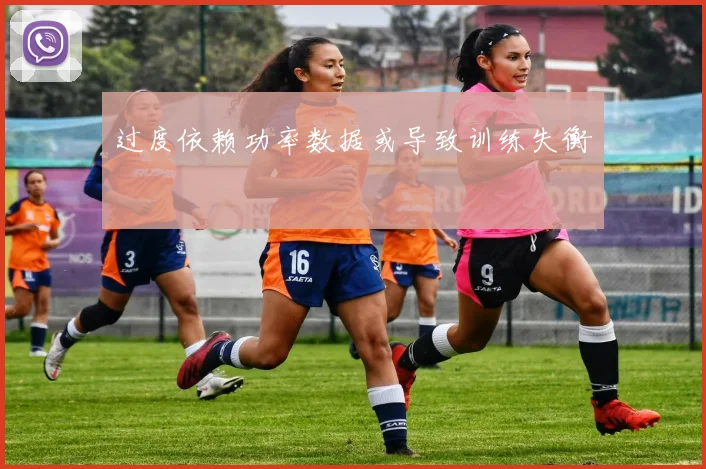 过度依赖功率数据或导致训练失衡