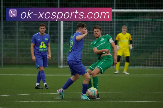 App Interface Preview